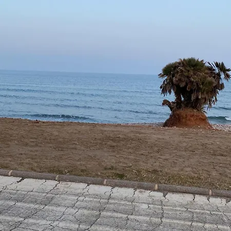 Vue Sur A Marina D'or 오로페사델마르